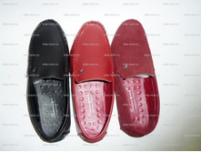 P1050079.jpg  1100�