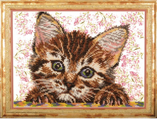 �������� ���