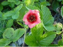 P1020778.JPG�������� ���������� 30�.