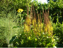 P1020784.JPG ������� � ���������