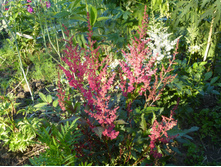 P1020785.JPG �������� 70�.