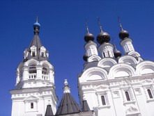 SDC10017.JPG