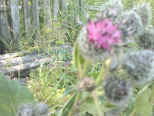 13072014812.jpg
