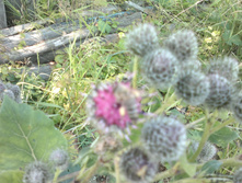 13072014814.jpg