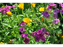 ���������� ������ � ���������