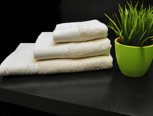 Ashly (������)�-� ���������, ���� 1350���