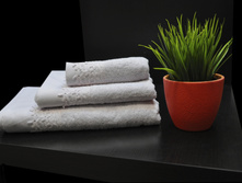 Seaside (�������) �-� ���������, ���� 1350���