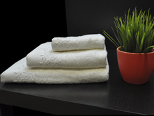 Seaside (��������) �-� ���������, ���� 1350���