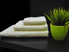 Seaside (�����������) �-� ���������, ���� 1350���