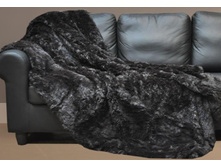 ���� ������� (�������) ��������� ��������