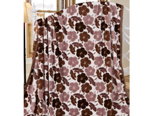 ������������ ����