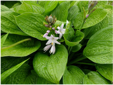 ����� ��������������. ���� 50 �