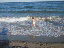 �����_����_���� 2014