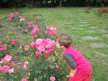 �����_���������� ����_���� 2014