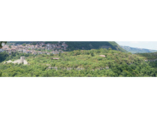 � ��� ���� �������� ������ �������_���� 2014