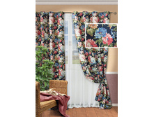 Pione-S ���.123315690.jpg