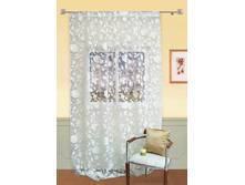 Iris, ���.111482110.jpg