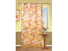 Rumba, ���.111438130.JPG