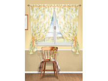 Aster-S ���.123019150.jpg