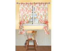 Aster-S ���.123019171.jpg