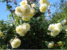 DSCN0155.jpg