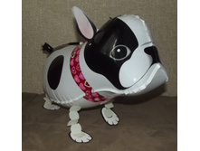 DSCF3571.JPG