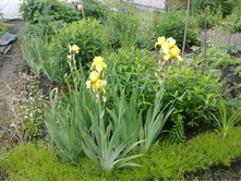 ����� ������ ������� � ��������.jpg