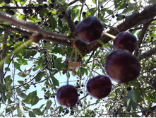 ����� ������������, ������! 2014 �.