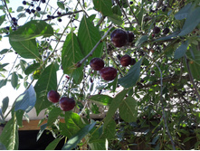 ������������ 2014