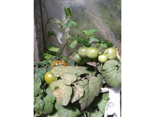 �������� ��������� �����! ���� 2014