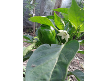 ������ 07.07.2014. ������! ���ԣ� �����!