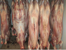 �������� ��������.JPG