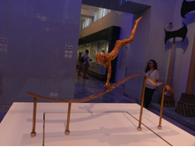 DSCN0118.JPG