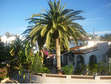 ��������� �����;)