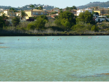 �������� � ������� �����