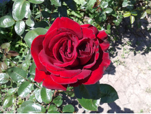 ������� ������. 4 ������. ���� 2014 �.