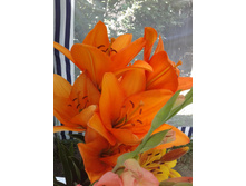 ��������� �����. ������. 2014 � ������.