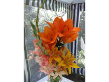 ����� �� ��. ���� 2014 �.