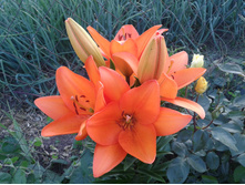 ��������� �����. ������. ���� 2014