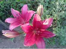 ��������� �����. ������. ���� 2014