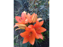 ��������� �����. ������. ���� 2014