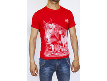 ��������   22227