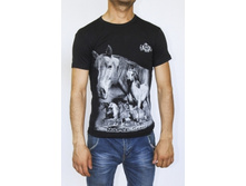 ��������  22225