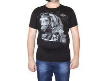 ��������  16569