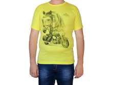 ��������  16602