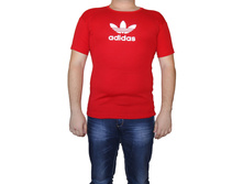 ��������  16681