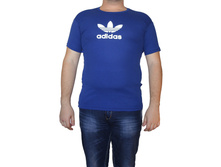 ��������  16694