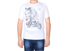 �������� 16576