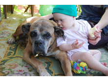 ���� � ����