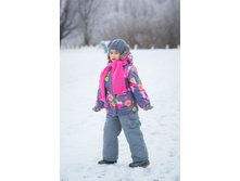 ������ ������� C1308S